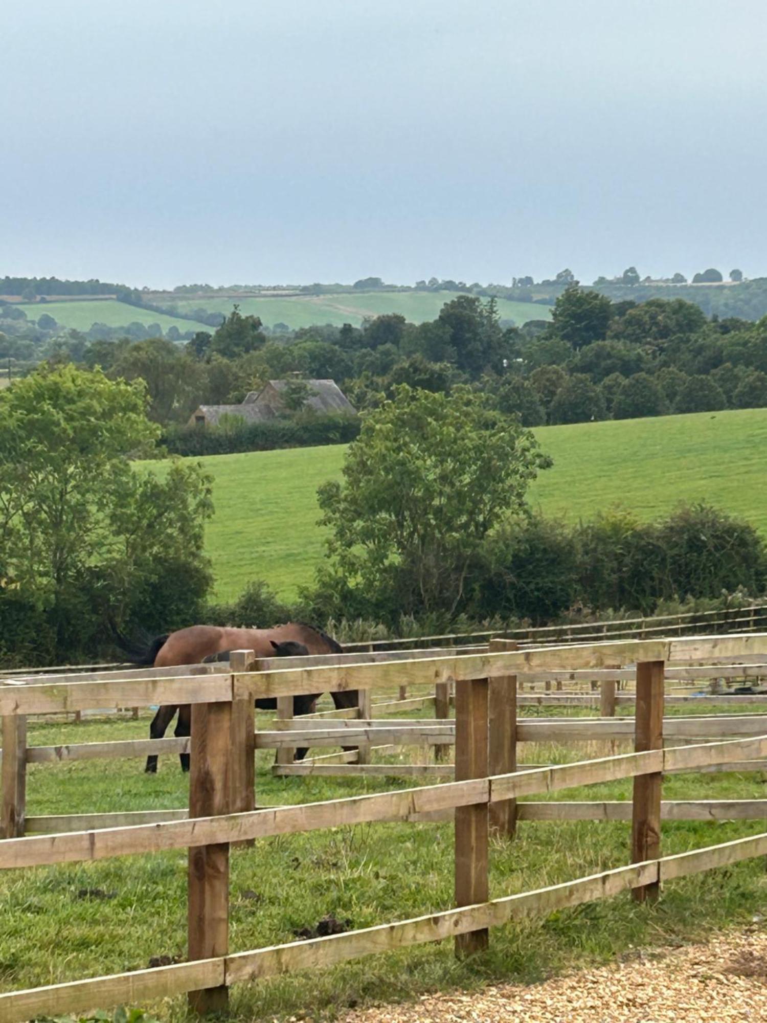 The Homestay Hook Norton